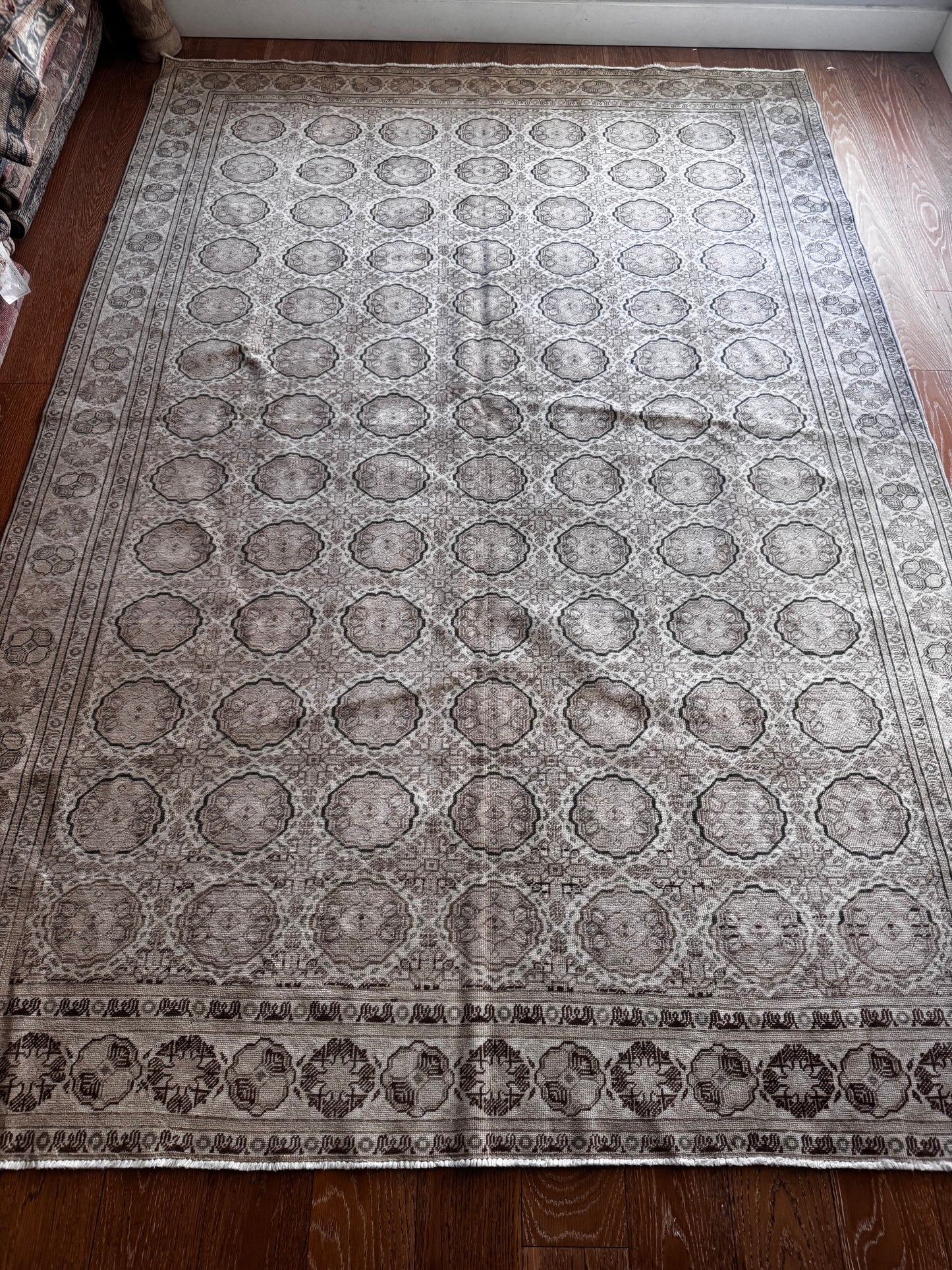 Candace (6’4” x 9’2”)