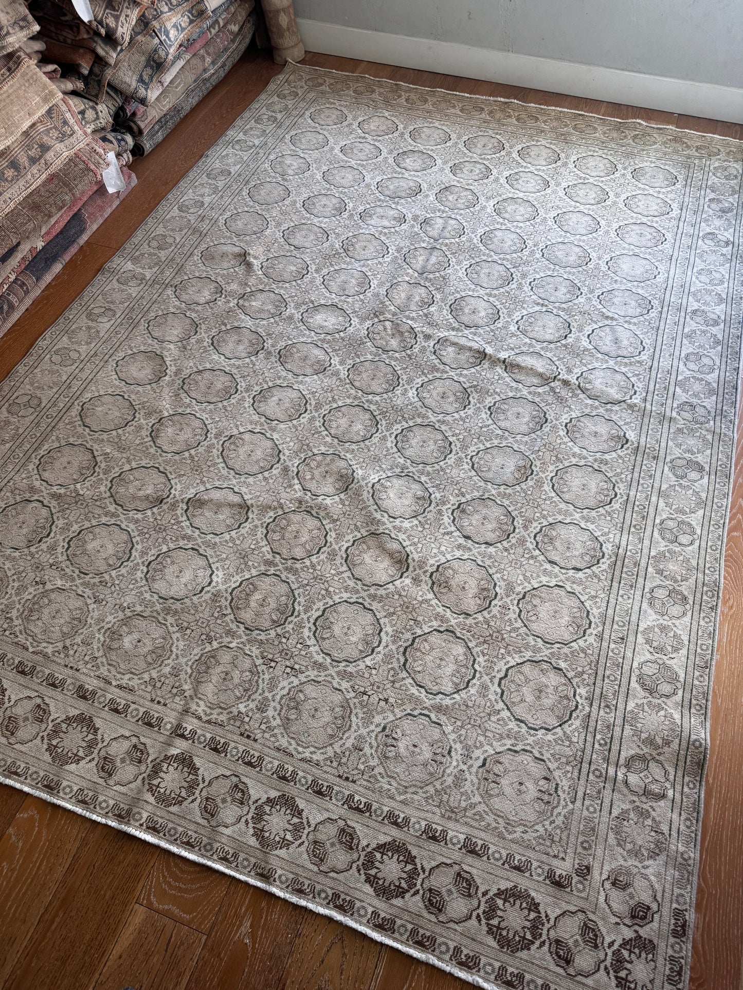 Candace (6’4” x 9’2”)