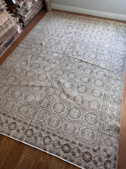 Candace (6’4” x 9’2”)