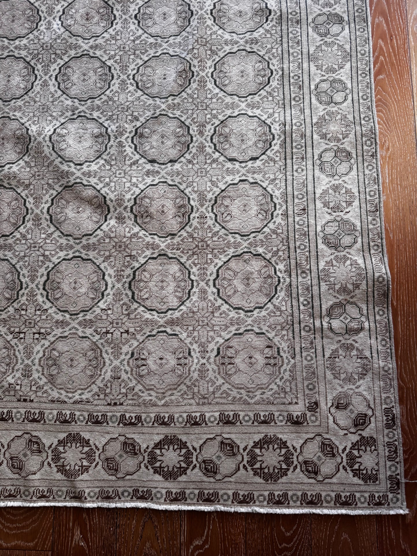 Candace (6’4” x 9’2”)