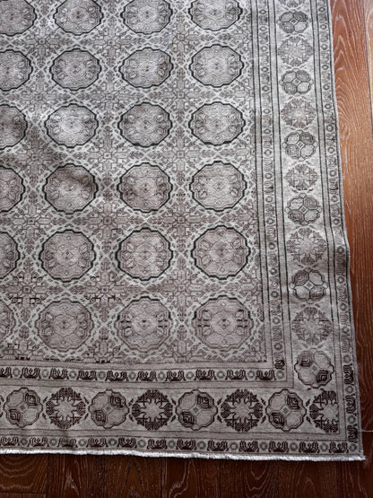 Candace (6’4” x 9’2”)