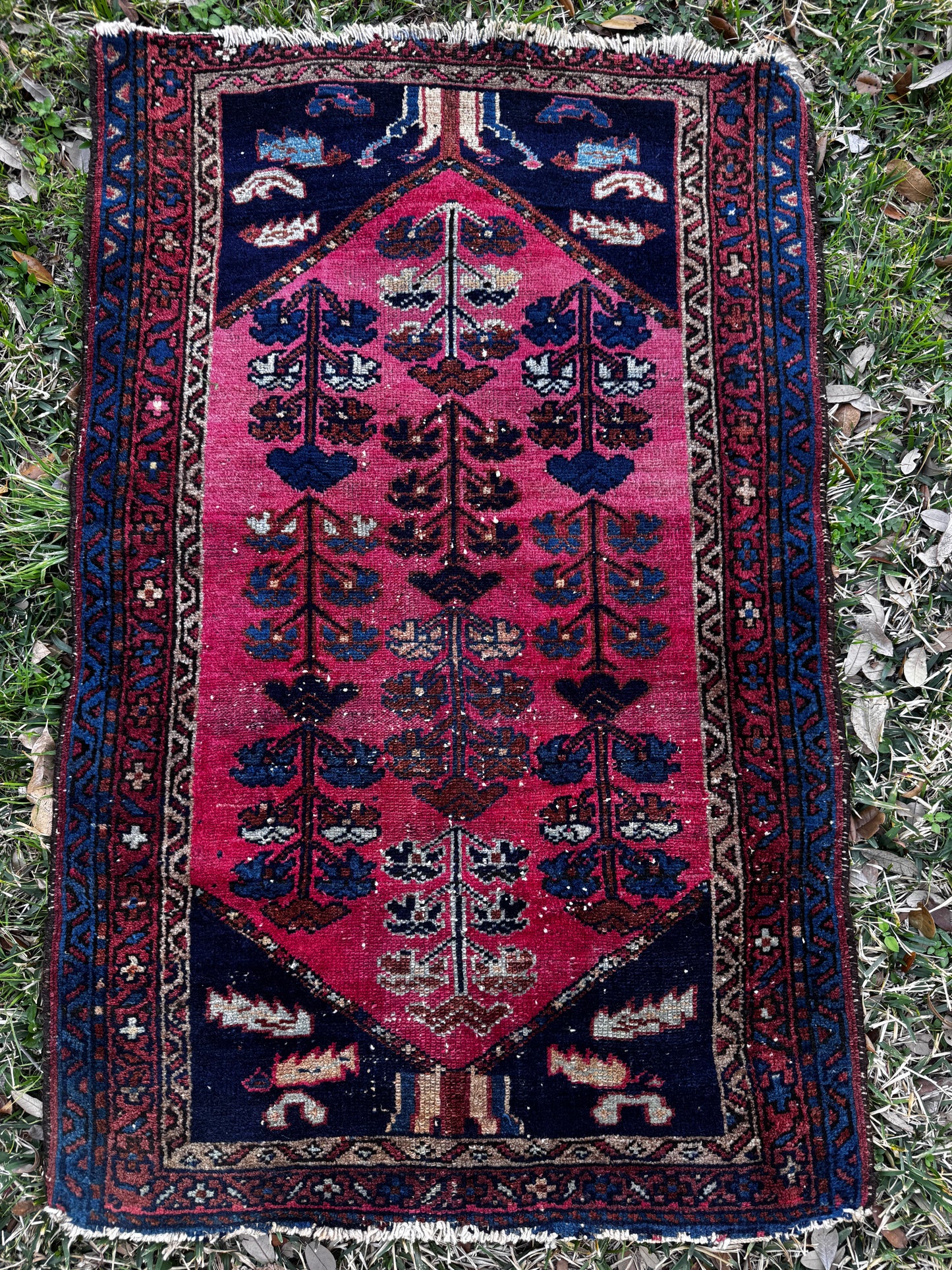 Minnie (2’7” x 4’)