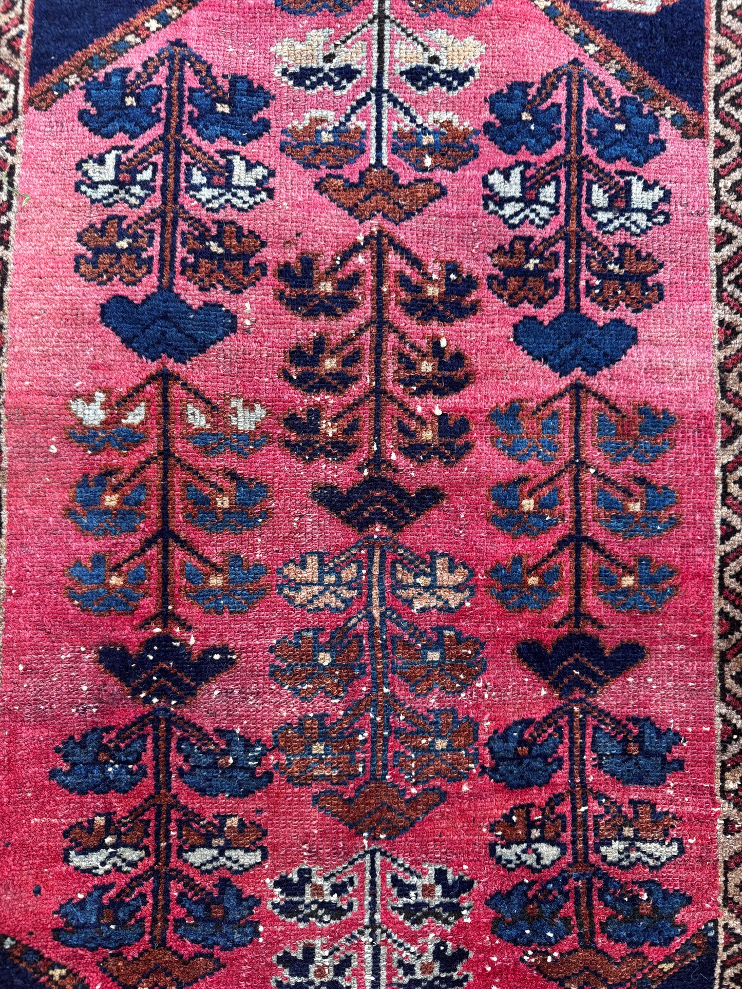 Minnie (2’7” x 4’)