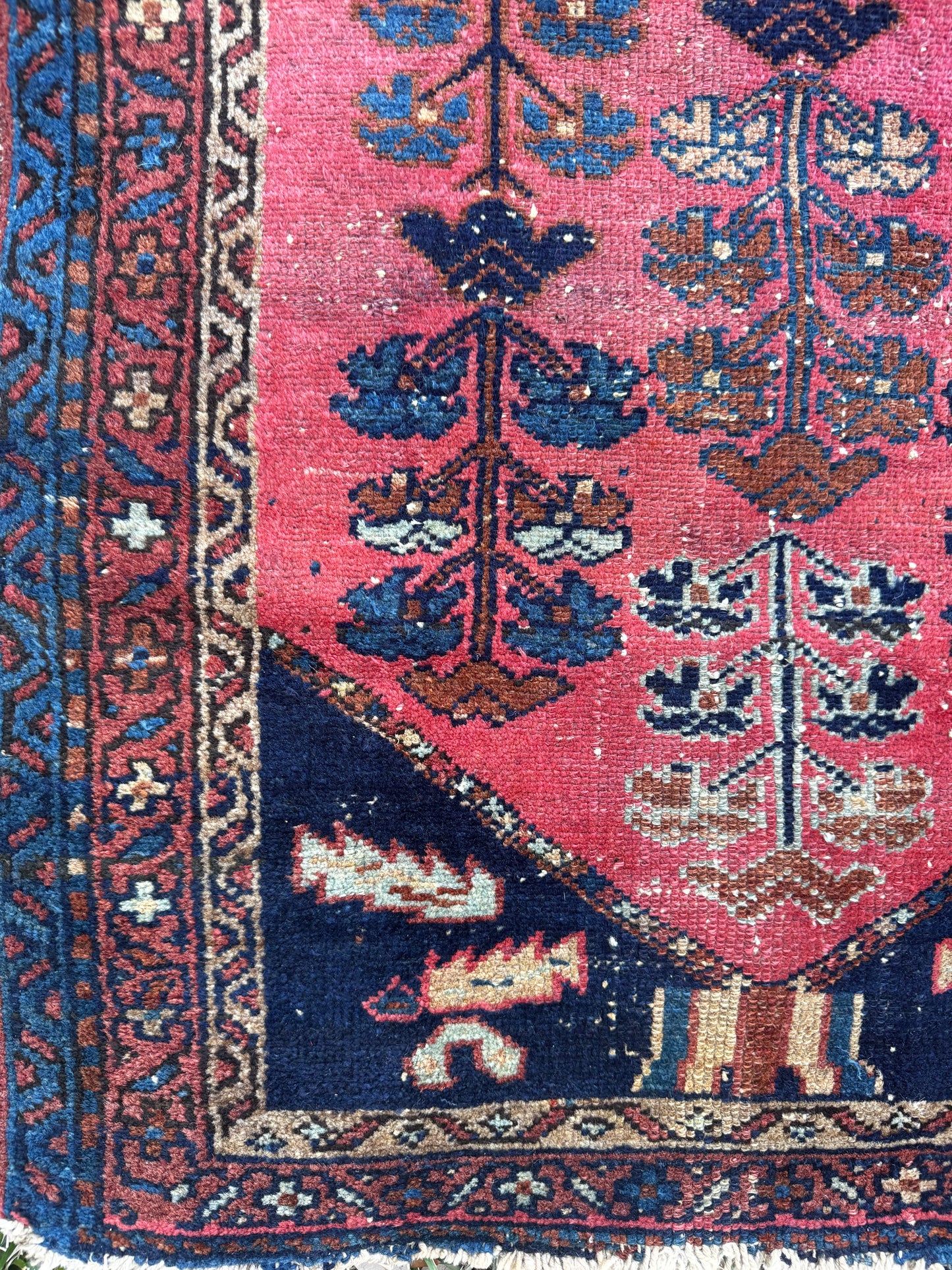 Minnie (2’7” x 4’)