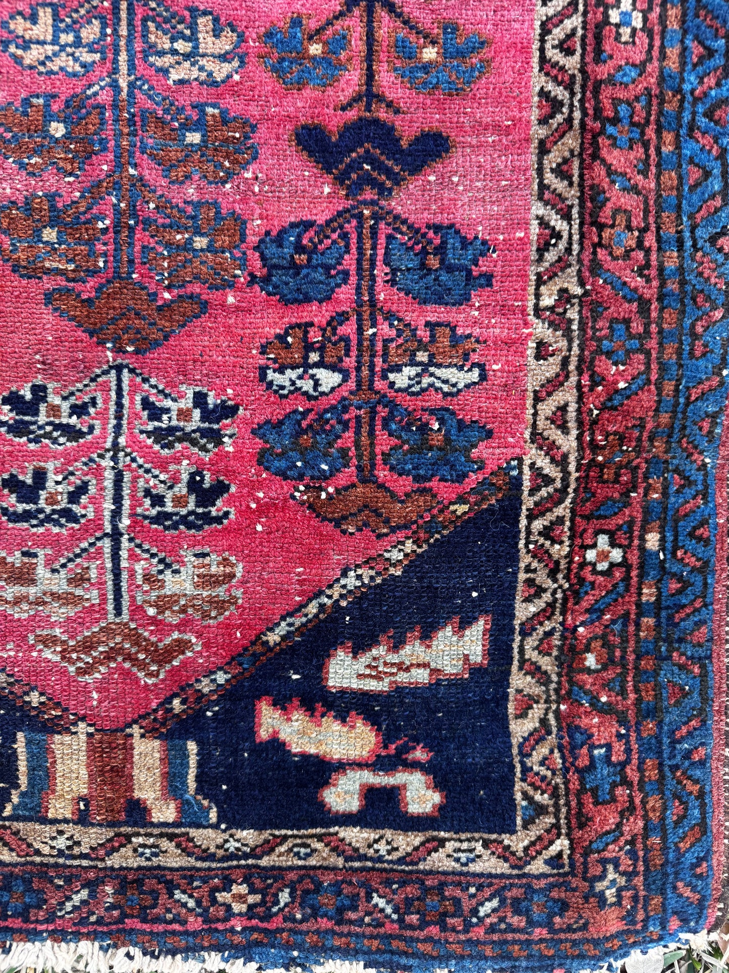 Minnie (2’7” x 4’)